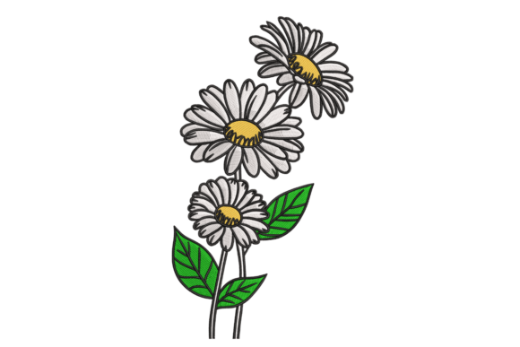 Download Sketch Daisy Trio – Modern Botanical - Modern Collection