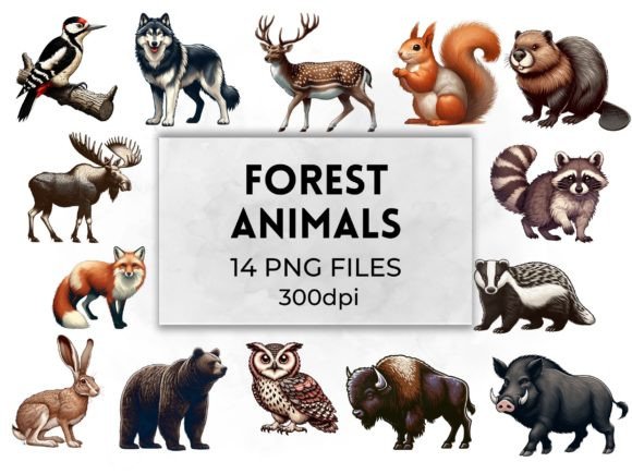 Download Forest Animals Woodland Creatures - Woodland creatures Collection